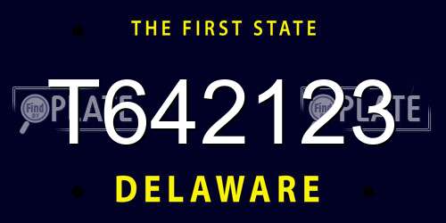 T642123 Delaware License Plate