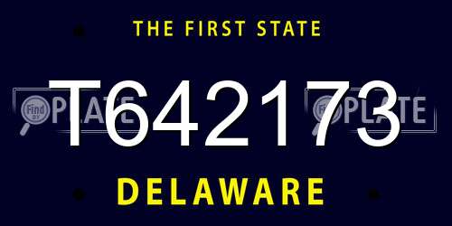 T642173 Delaware License Plate