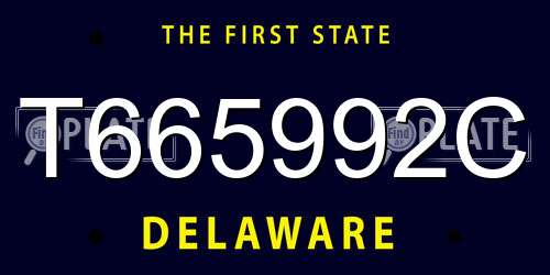 T665992C Delaware License Plate