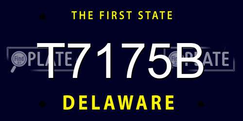 T7175B Delaware License Plate