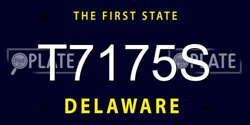 T7175S Delaware License Plate