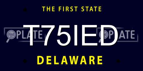 T75IED Delaware License Plate