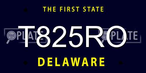 T825RO Delaware License Plate