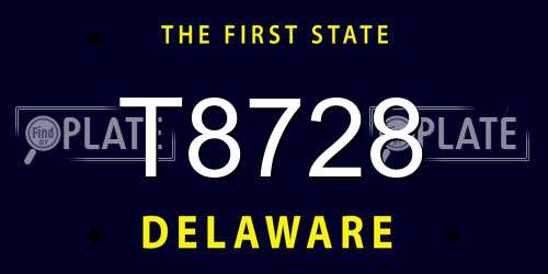 T8728 Delaware License Plate