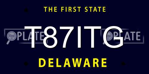 T87ITG Delaware License Plate