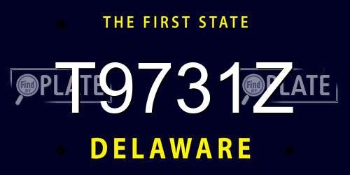 T9731Z Delaware License Plate