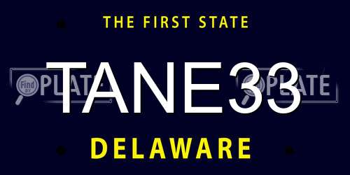 TANE33 Delaware License Plate