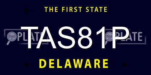 TAS81P Delaware License Plate