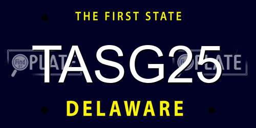 TASG25 Delaware License Plate