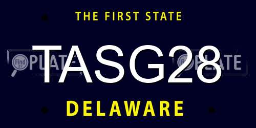 TASG28 Delaware License Plate