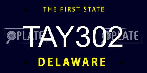 TAY302 Delaware License Plate