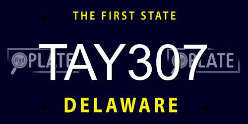 TAY307 Delaware License Plate