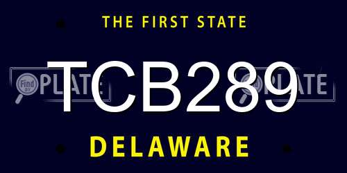 TCB289 Delaware License Plate