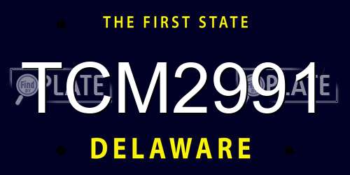 TCM2991 Delaware License Plate