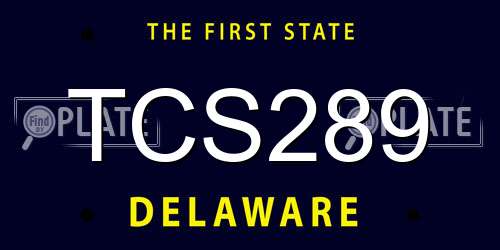TCS289 Delaware License Plate