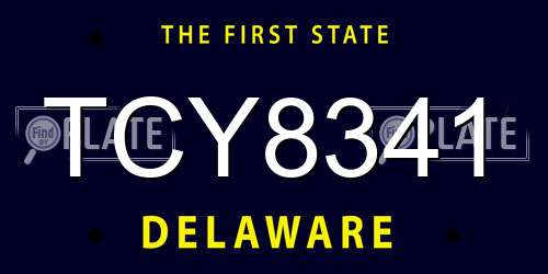 TCY8341 Delaware License Plate