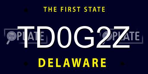 TD0G2Z Delaware License Plate