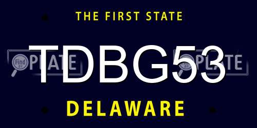 TDBG53 Delaware License Plate