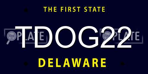 TDOG22 Delaware License Plate