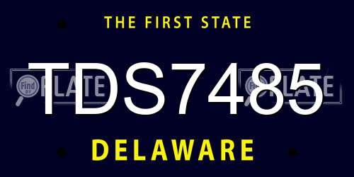 TDS7485 Delaware License Plate