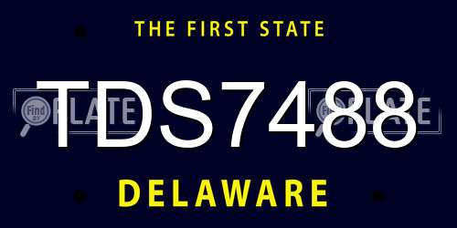 TDS7488 Delaware License Plate