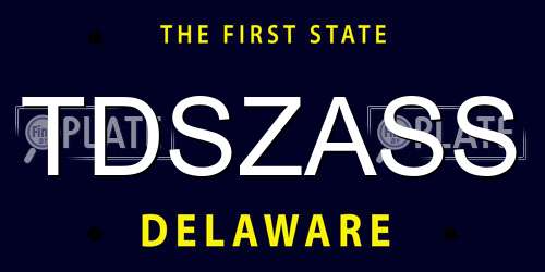 TDSZASS Delaware License Plate