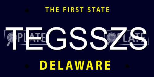 TEGSSZS Delaware License Plate
