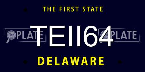 TEII64 Delaware License Plate