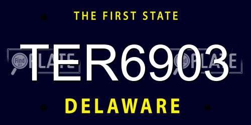 TER6903 Delaware License Plate