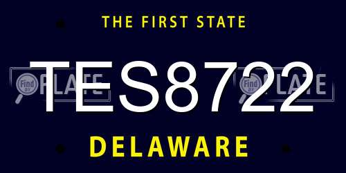 TES8722 Delaware License Plate