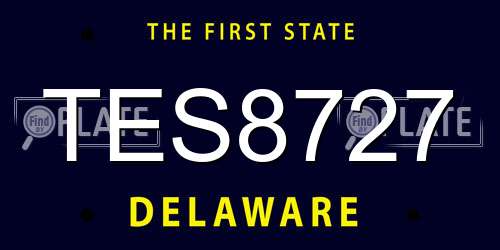 TES8727 Delaware License Plate