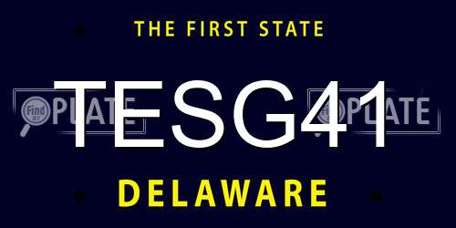 TESG41 Delaware License Plate