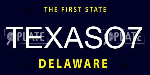 TEXASO7 Delaware License Plate