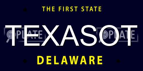 TEXASOT Delaware License Plate