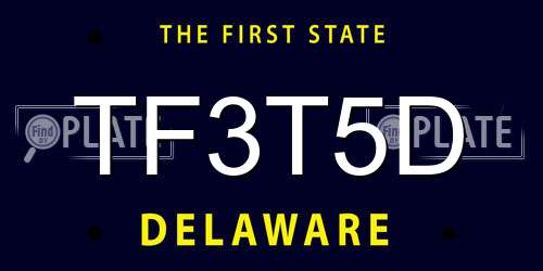 TF3T5D Delaware License Plate