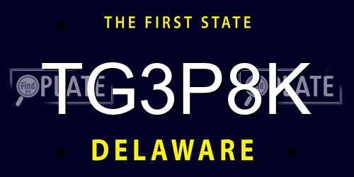 TG3P8K Delaware License Plate
