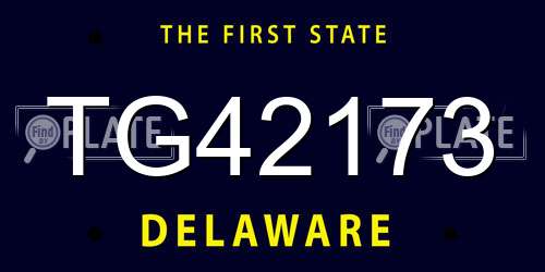 TG42173 Delaware License Plate