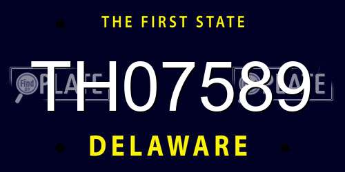 TH07589 Delaware License Plate