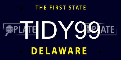 TIDY99 Delaware License Plate