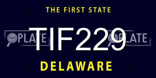 TIF229 Delaware License Plate