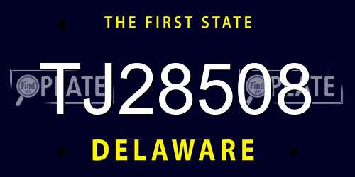 TJ28508 Delaware License Plate