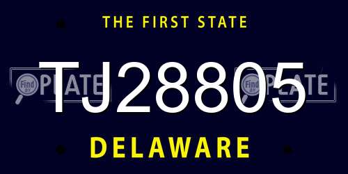 TJ28805 Delaware License Plate