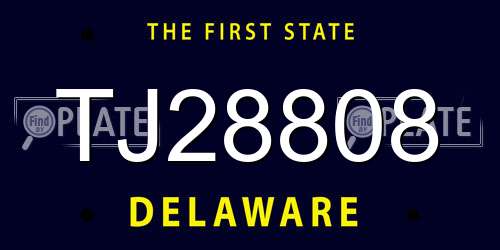 TJ28808 Delaware License Plate