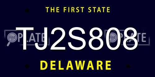 TJ2S808 Delaware License Plate