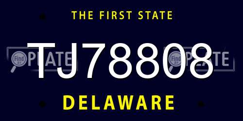 TJ78808 Delaware License Plate