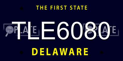 TLE6080 Delaware License Plate