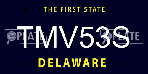 TMV53S Delaware License Plate
