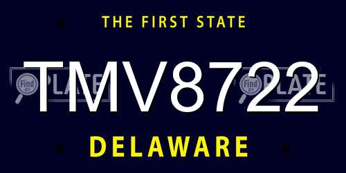 TMV8722 Delaware License Plate