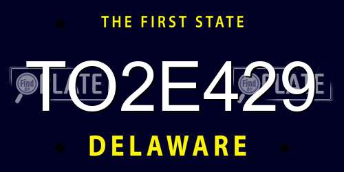 TO2E429 Delaware License Plate