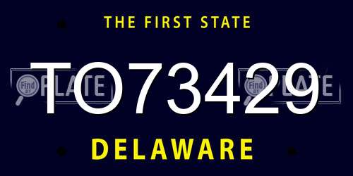 TO73429 Delaware License Plate